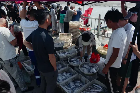 码头 渔市 人群