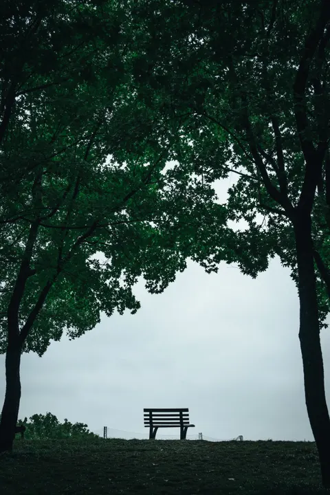 北小河 长椅