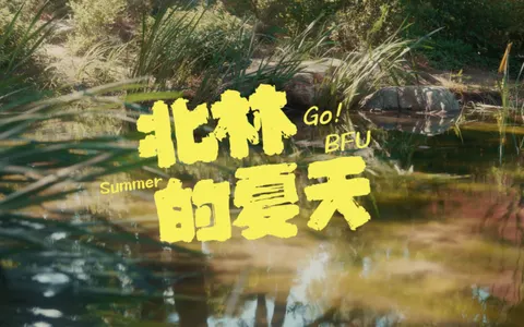 北林夏天
